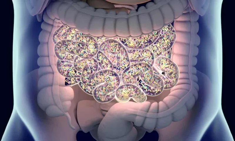 Illustration pour l'article : Probiotiques et prébiotiques : guide pratique pour votre flore intestinale