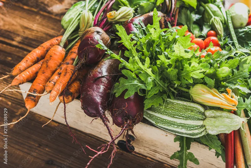 Illustration pour l'article : Protéines végétales : le guide complet pour une alimentation équilibrée