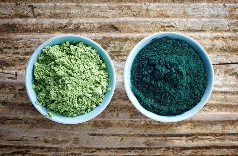 Illustration pour l'article : La spiruline : bienfaits réels et mode d'emploi